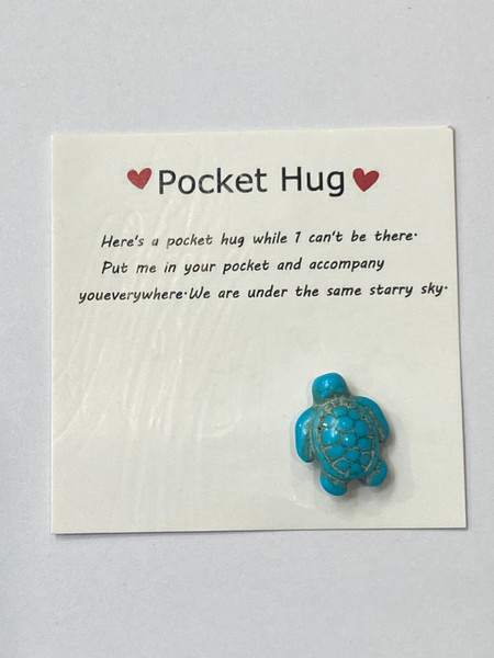 Pocket Hug Turtle