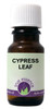 Cypress Leaf - 12ml - 9358