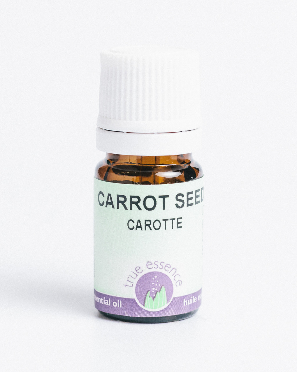 CARROT SEED  (Daucus carota) Conventional