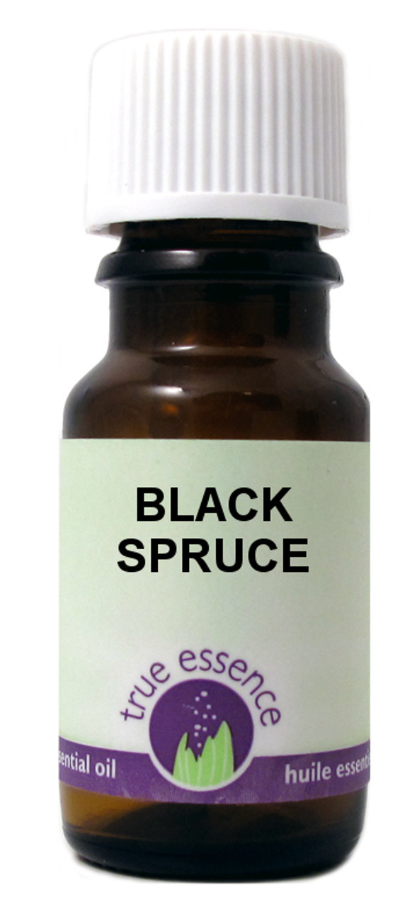 SPRUCE BLACK (Picea mariana) Organic