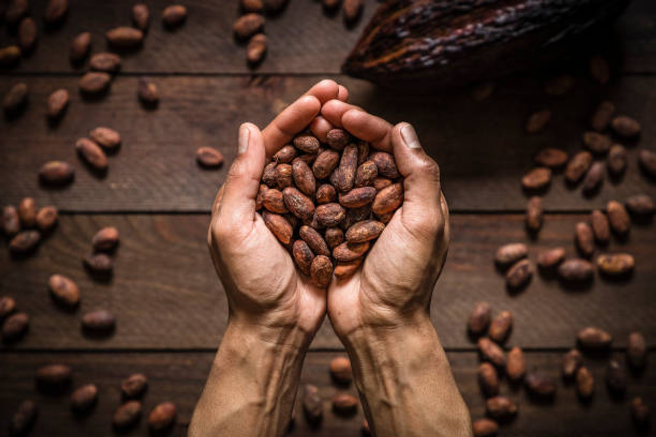 COCOA (Theobroma caçao) Absolute