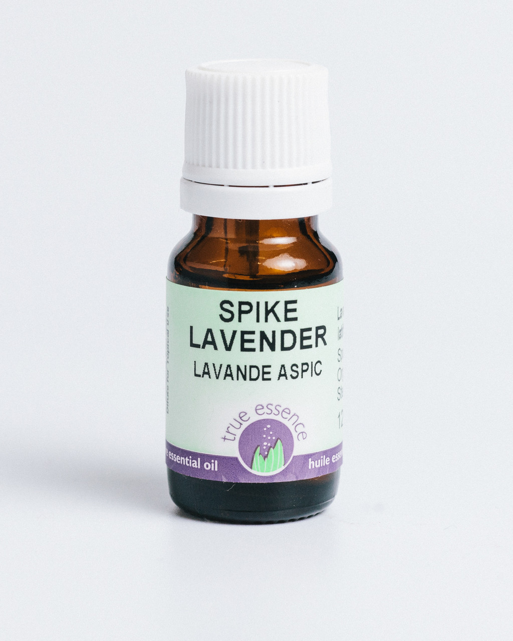 LAVENDER SPIKE (Lavandula latifolia) Organic