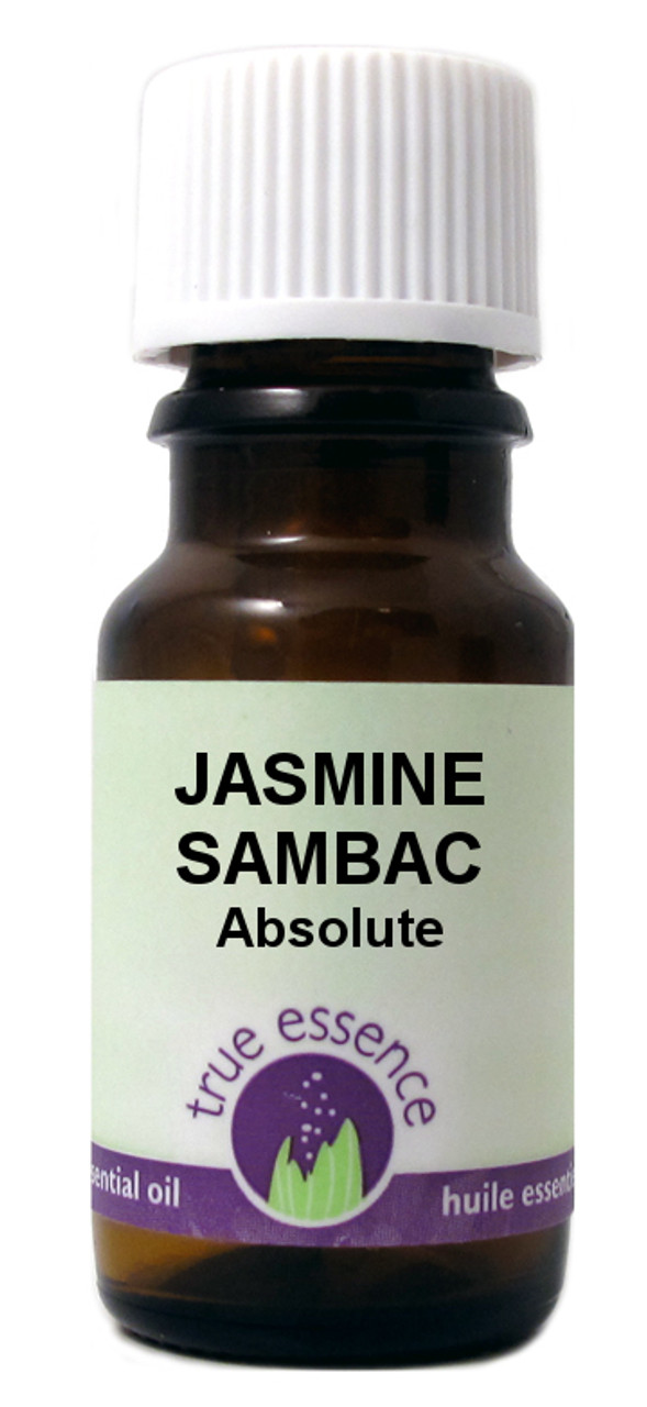 JASMINE SAMBAC (Jasmine sambac) Absolute