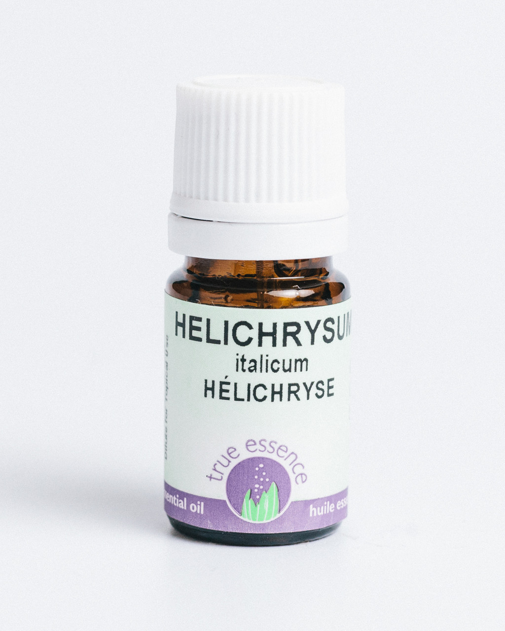 HELICHRYSUM BALKANS (Helichrysum italicum) Organic