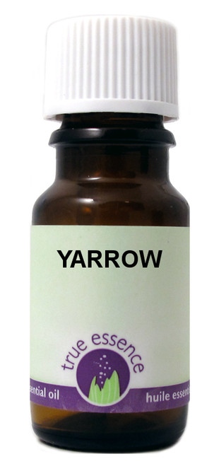 YARROW (Achillea millefolium) Organic