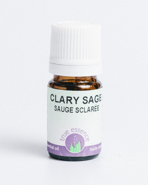 CLARY SAGE (Salvea sclarea) Organic