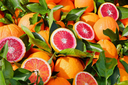 ORANGE BLOOD (Citrus sinensis) Conventional