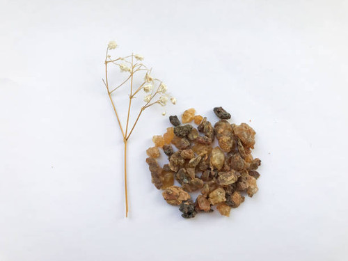  MYRRH (Commiphora myrrha) Wild