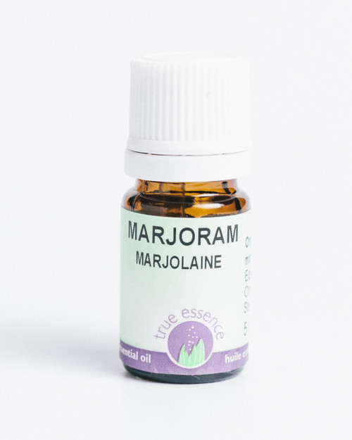 MARJORAM (Origanum marjorana) Organic