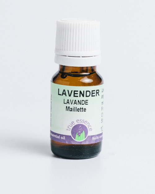 LAVENDER MAILLETTE FRANCE (Lavandula angustifolia) Organic