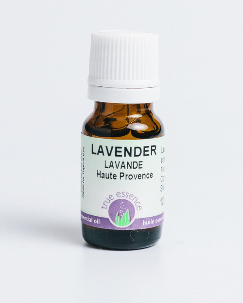 LAVENDER FRANCE (Lavandula angustifolia) Conventional