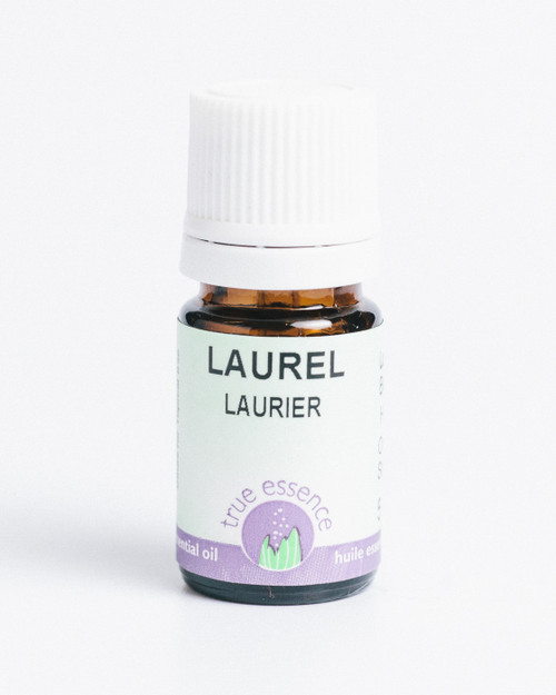 LAUREL (Laurus nobilis) Organic