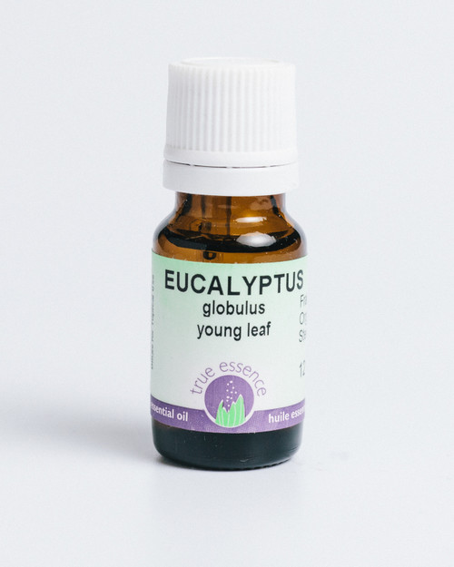 EUCALYPTUS GLOBULUS YOUNG LEAVES  (Eucalyptus globulus) Organic