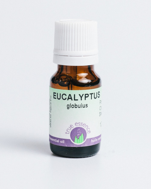 EUCALYPTUS GLOBULUS  (Eucalyptus globulus) Organic