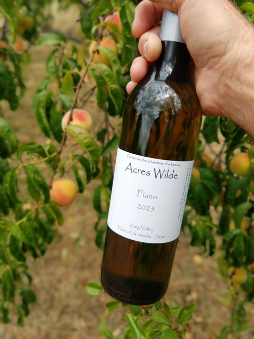 Fiano