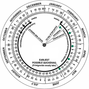 Pregnancy Due Date Calculator Wheel Four Square Healthcare Ltd