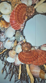 20" Sea Shell Wreath on Birch Twig with White Star Fish & Pearlized Brown Troca Shells