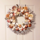 20" Seashell Wreath on White Twig  Marble Cones and Spotted Pectens
