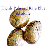 Seashell Wreath on White Twig with Rare Blue Abalone Shells