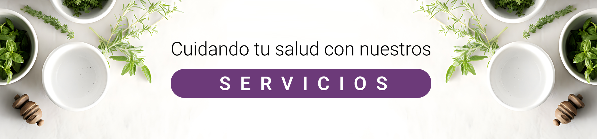 slider home servicios
