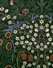 William Morris Keepsake Notecards