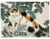 Museum Cats Notecard Wallet