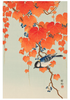 Ohara Shōson Boxed Notecard Assortment