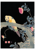 Itō Jakuchū Boxed Notecards