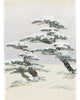 MFA Pine-covered Islands in Snow Holiday Cards