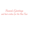 Amaryllis Illuminated Holiday Cards