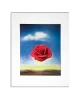 Dali The Meditative Rose 11x14 Matted Print