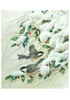 John Ruthven Black-capped Chickadees Holiday Cards