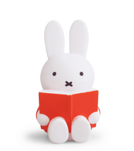 Why Miffy Plush Toys Are So Popular: A Look at the Global Craze