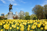 Spring is in Bloom: Step into the Season with the MFA