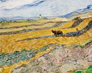 Van Gogh: His Life and How to Enjoy His Timeless Art Today