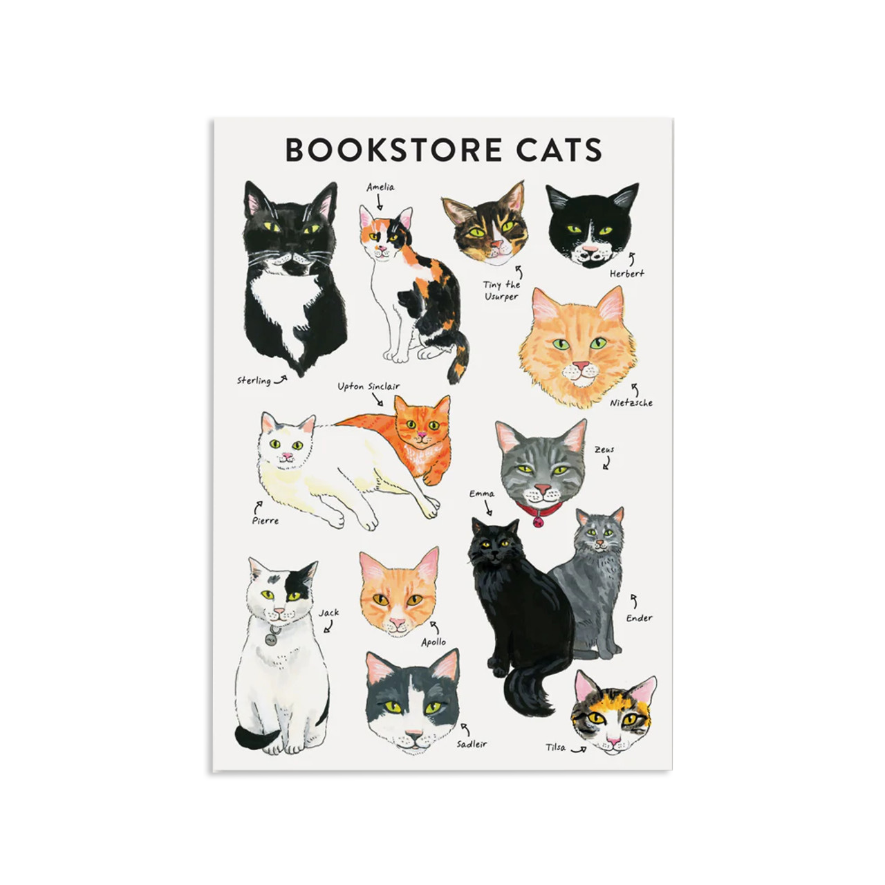 Bookstore Cats Journal - MFA Boston Shop | Gifts from the Museum of