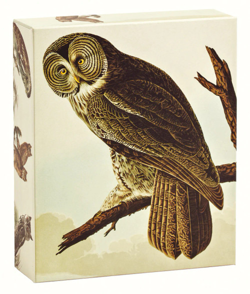 Audubon Owls Quick Notes
