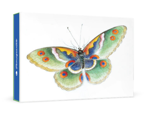 Butterfly Boxed Notecards