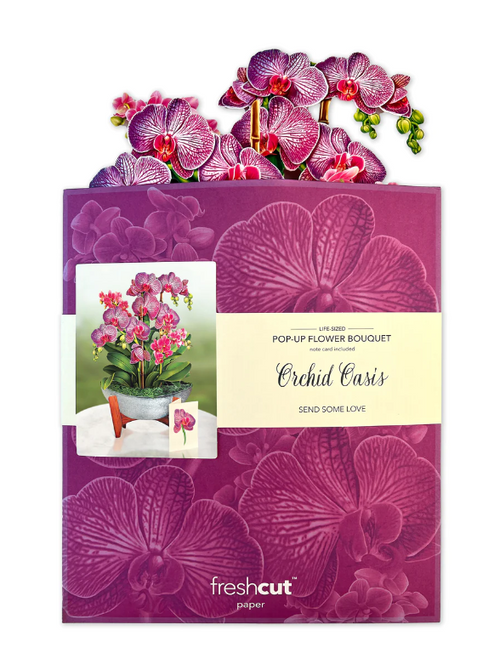 Orchid Oasis Pop-Up Bouquet