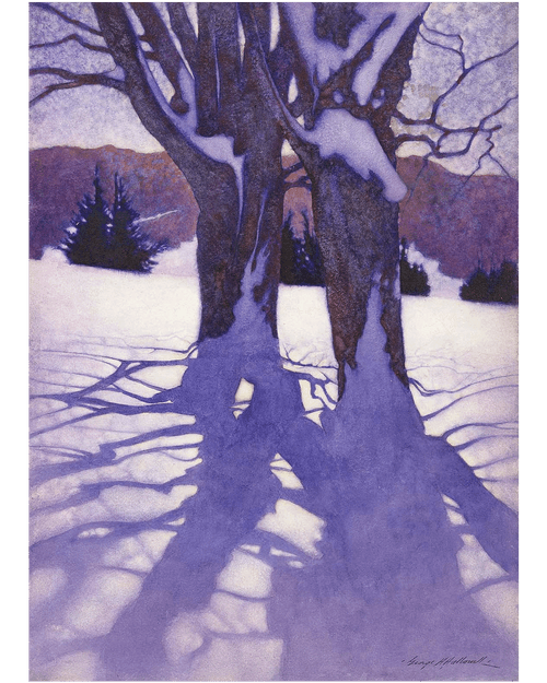 MFA Trees in Winter Holiday Cards
