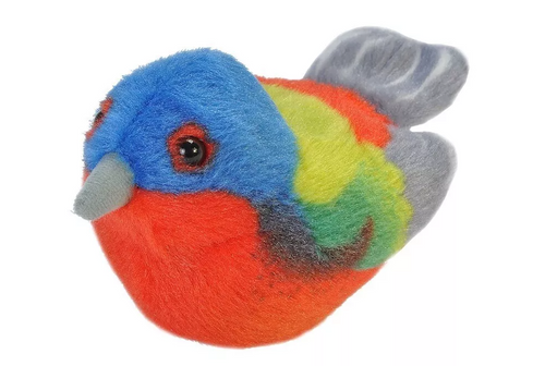 Painted Bunting Painted Bunting