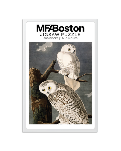 Audubon Snowy Owl 300 Piece Puzzle