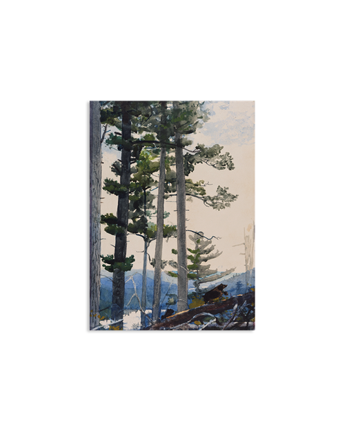 Homer Old Settlers Acrylic Magnet