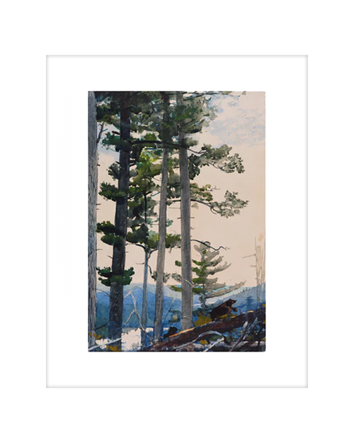Homer Old Settlers 11x14 Matted