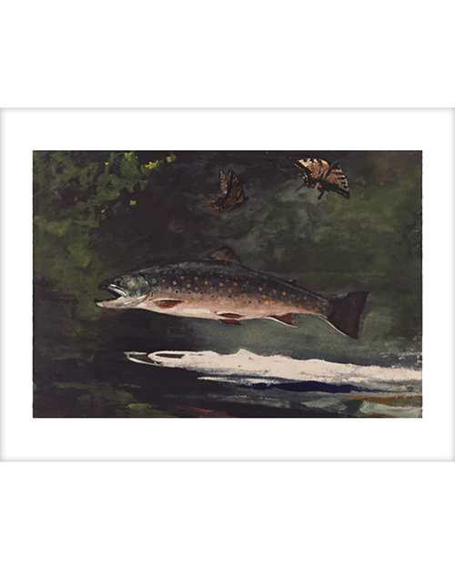 Homer Trout Breaking 11x14 Matted