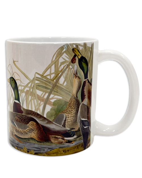Audubon Mallard Duck Mug