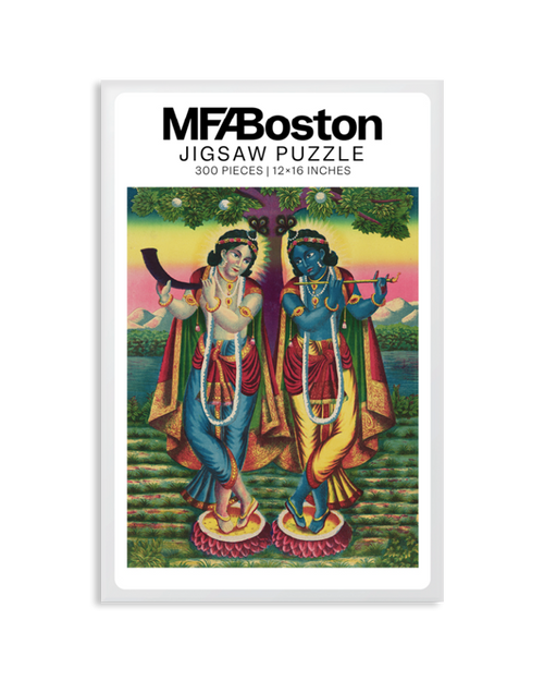 Shri Shri Divine Color 300 Piece Puzzle