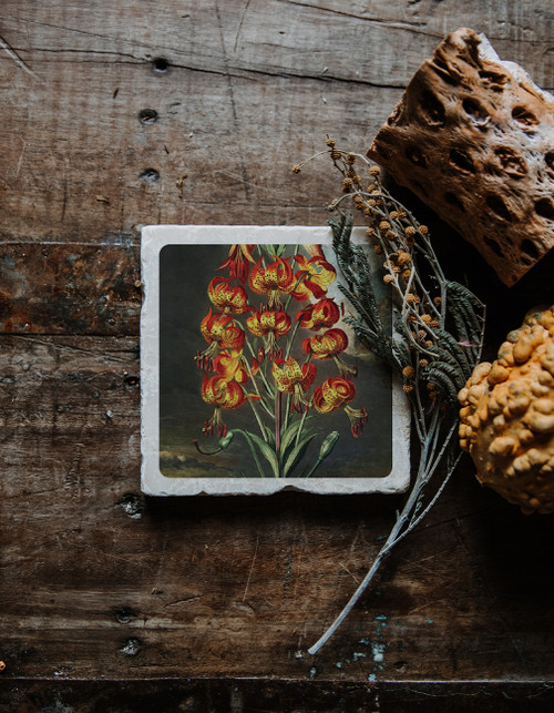 Temple of Flora Coaster Lilies