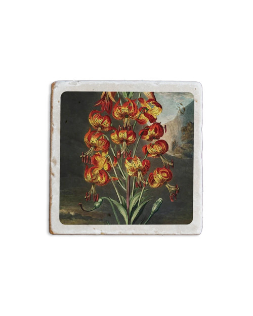 Temple of Flora Coaster Lilies