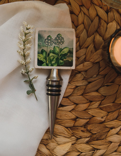 Temple of Flora Wine Stop Auriculas